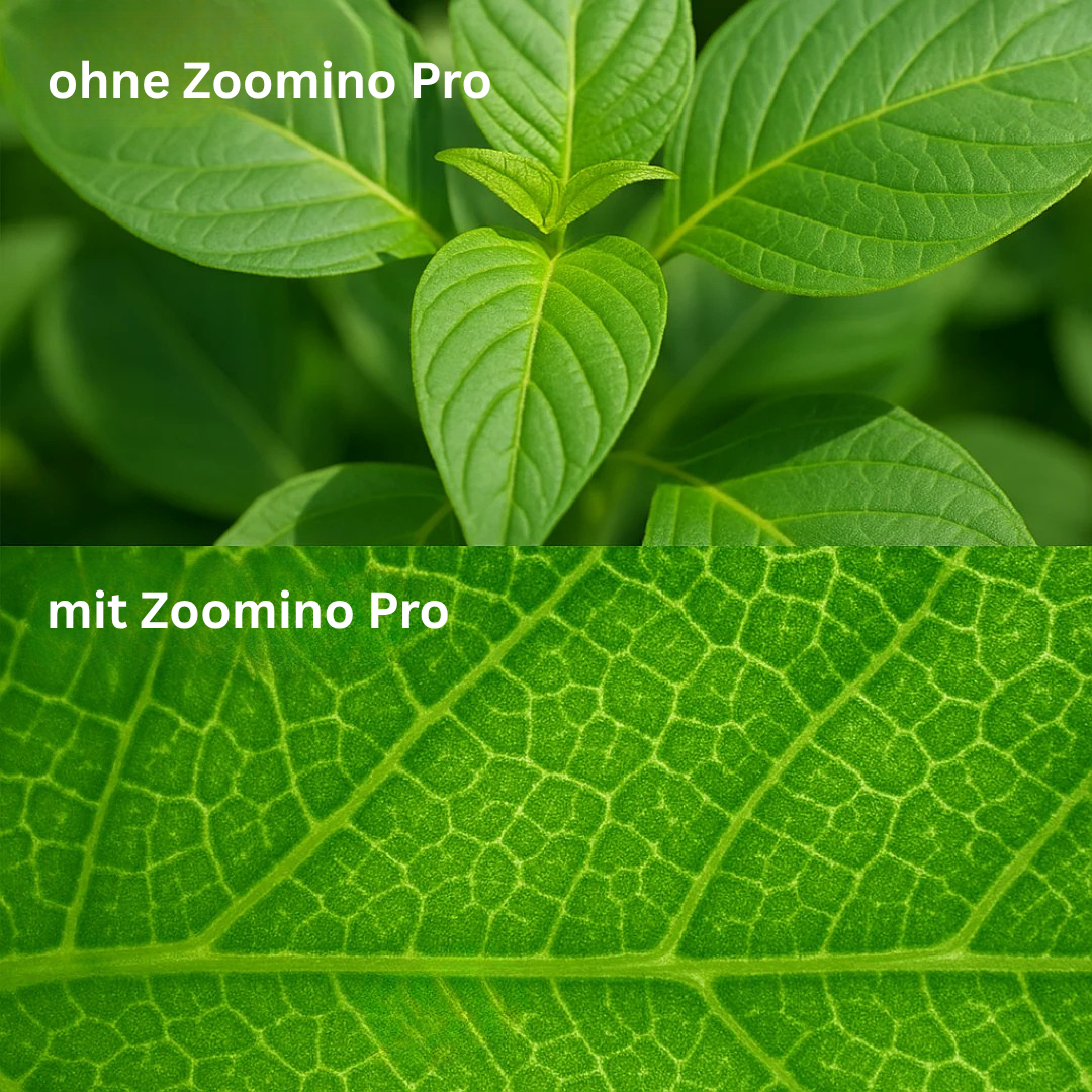 Zoomino Pro
